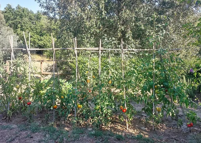 Il Terrazzo * Baccano